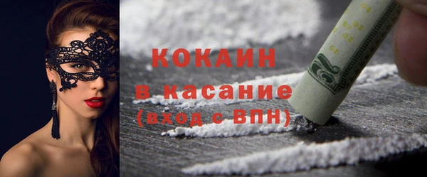 индика Волосово