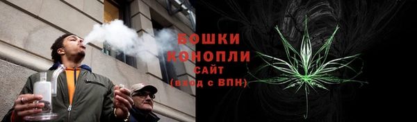 индика Волосово