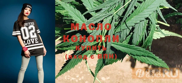 индика Волосово