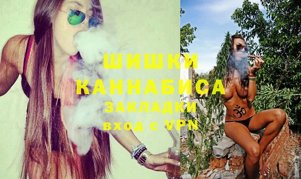 индика Волосово