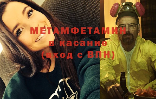 индика Волосово